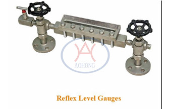 How does Reflex Level Gauge Work?